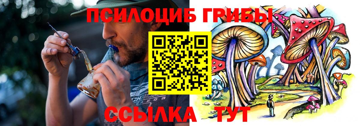 Галлюциногенные грибы Psilocybine cubensis  Вход с VPN  Новоуральск 